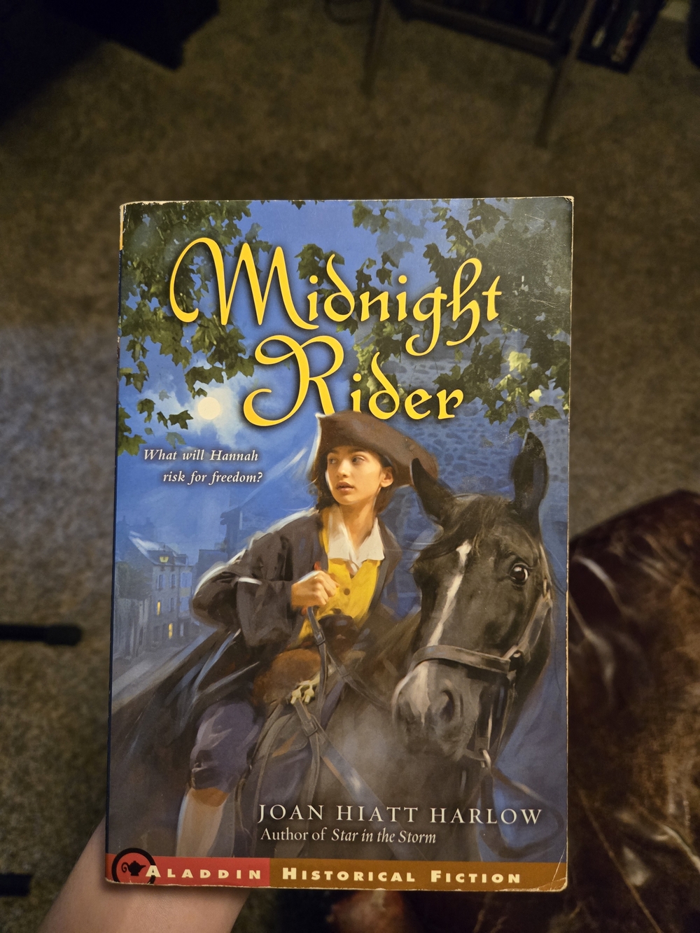 Paperbacks Midnight Rider - Blue, Yellow, Black